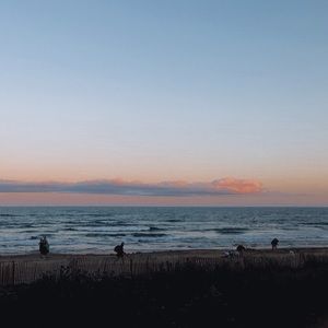 Meet your Posher, Arianna